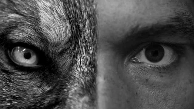 Unleash Your Inner Alpha